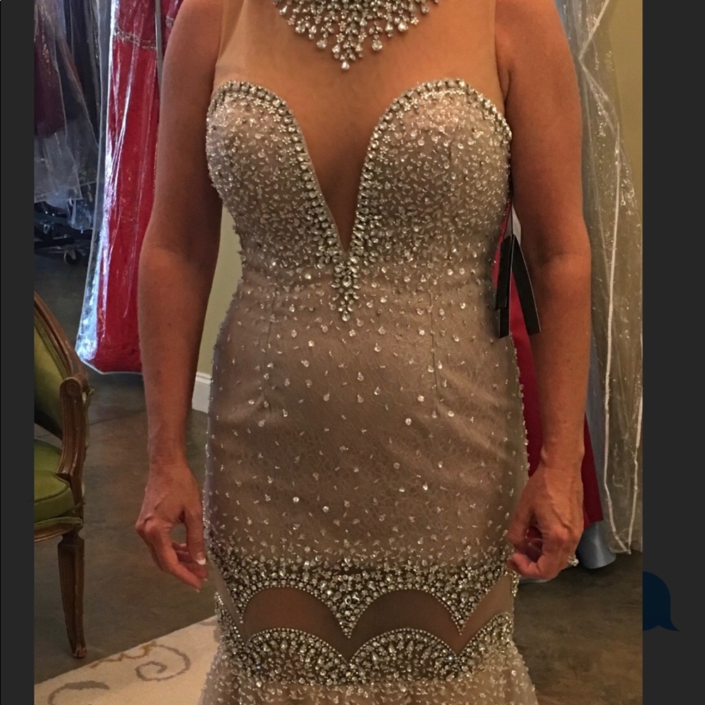 Terani gorgeous stone gown